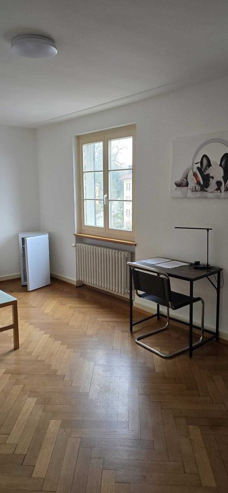 Appartement null pièces à louer à Schaffhouse - image 1/6