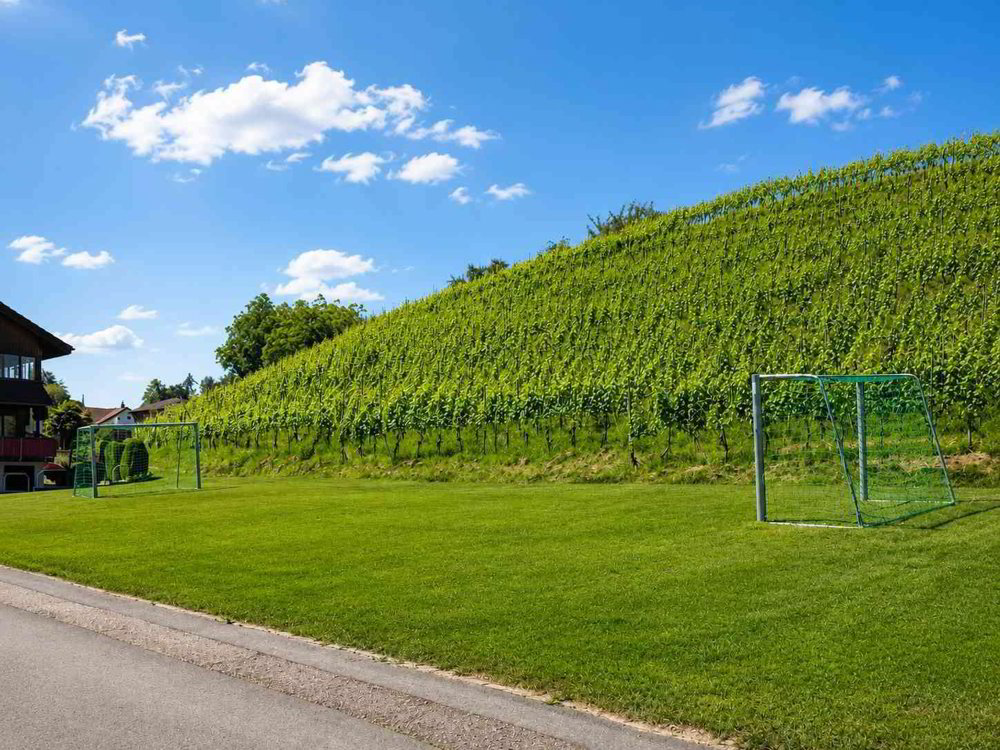 6.5 Zimmer Haus zu vermieten in Jona - Bild 1/13