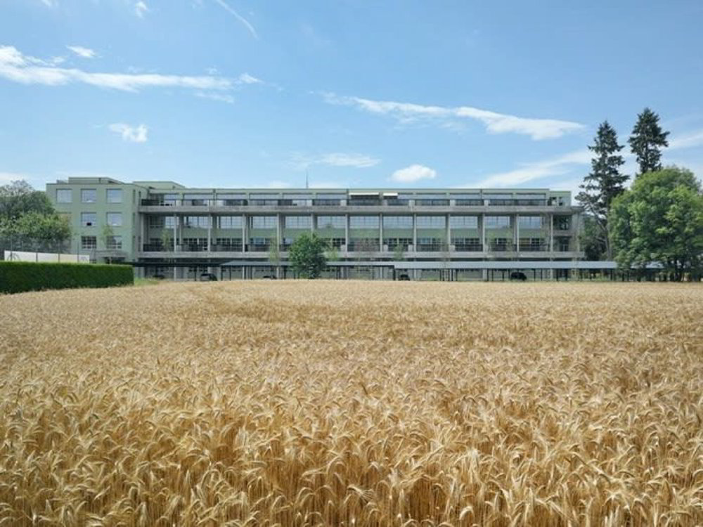Apartment in Dulliken, Amtei Olten-Gösgen - Mehr