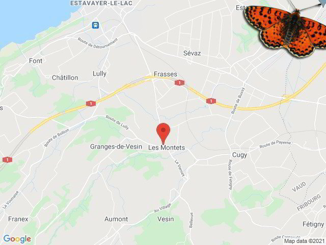 3 Zimmer Wohnung zu vermieten in Montet (Broye) - Bild 1/9