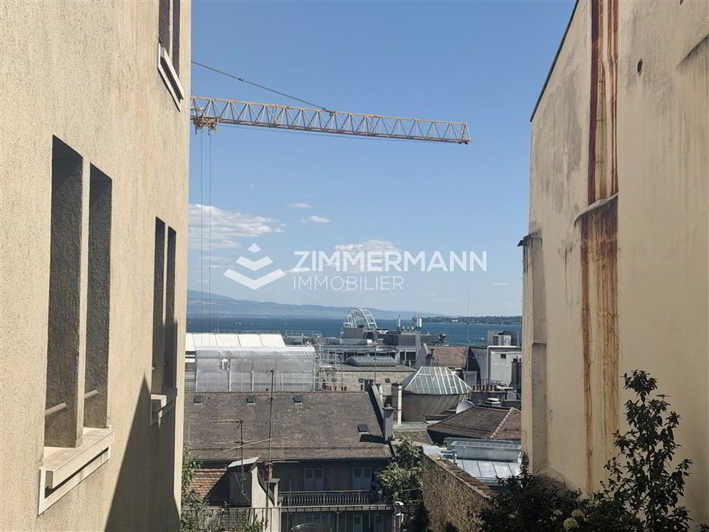2 rooms Apartment for rent in Genf - image 1/9