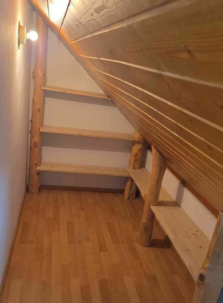 Appartamento di 2 locali in affitto a Möhlin - immagine 1/6