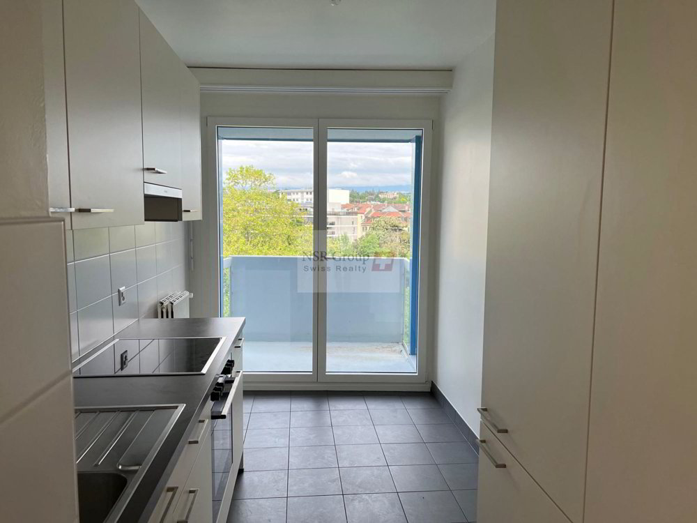 5 Zimmer Wohnung zu vermieten in Carouge GE - Bild 1/12