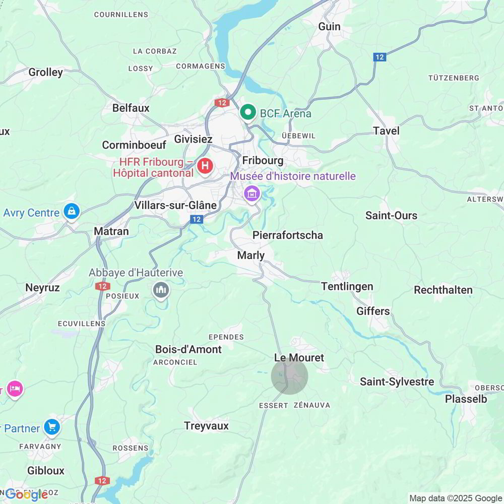 Appartamento di 3.5 locali in vendita a Le Mouret - immagine 1/17