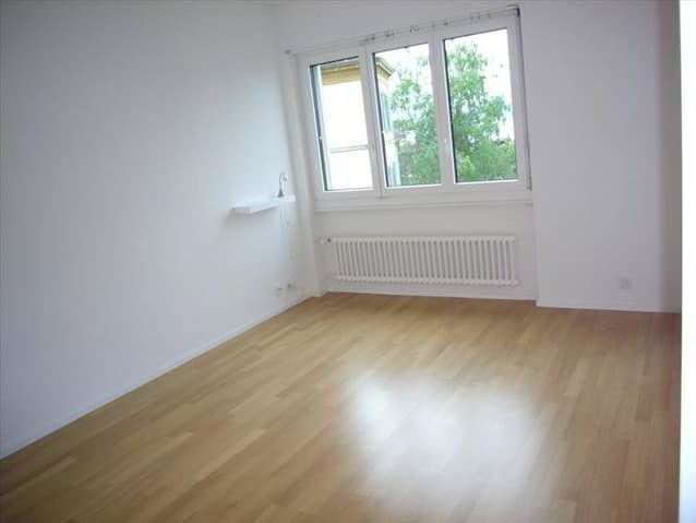 1 rooms Apartment for rent in Neuchâtel - image 1/4