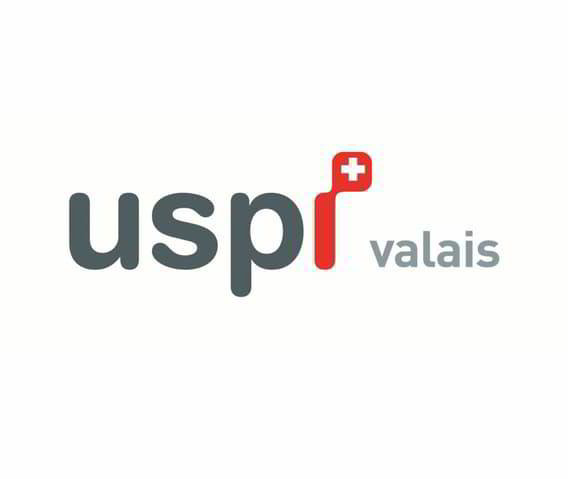 Bureau & Commerce null pièces à acheter à Vionnaz - image 1/5