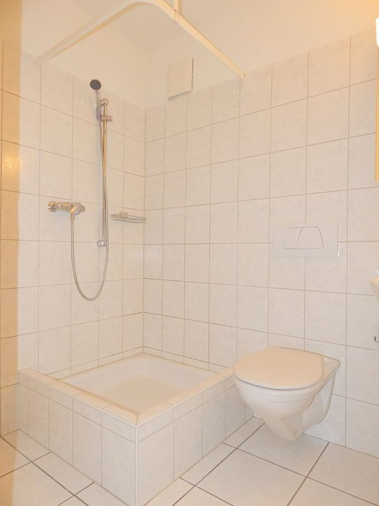 Appartement 4.5 pièces à louer à Bremgarten AG - image 1/9