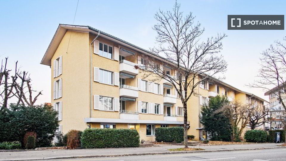 Appartement 2 pièces à louer à Zürich - image 1/13