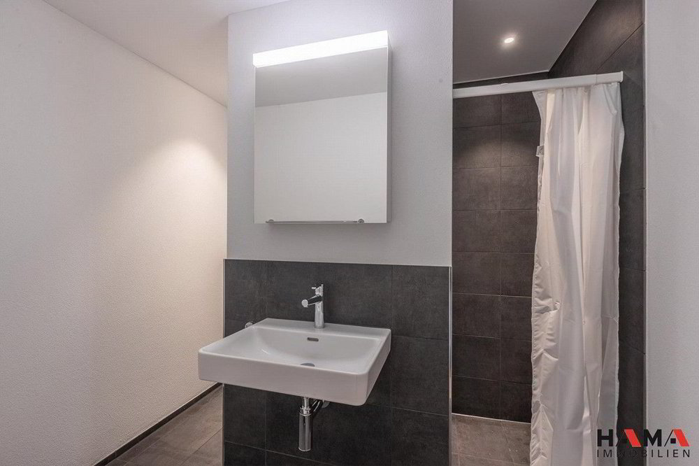Appartement 4.5 pièces à louer à Roggwil BE - image 1/13