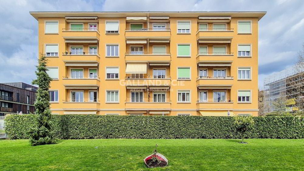 3 Zimmer Wohnung zu vermieten in Lausanne - Bild 1/1