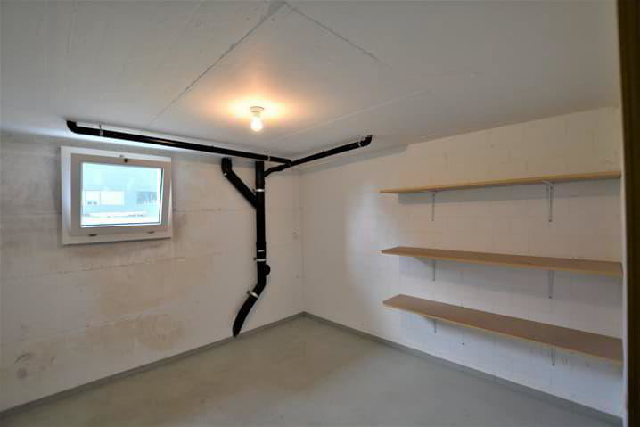 Appartement 4.5 pièces à louer à Fregiécourt - image 1/13