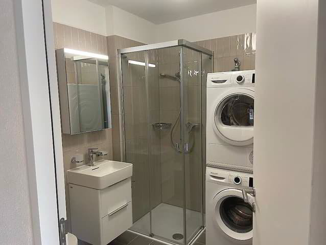 4.5 rooms Apartment for rent in Plaffeien - image 1/11