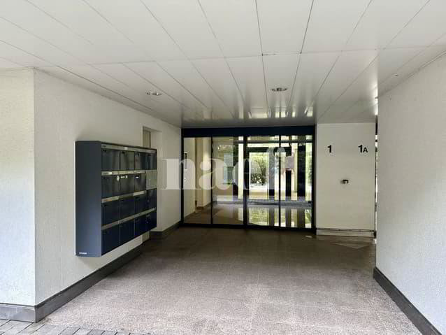 Appartement 5 pièces à louer à Ginevra - image 1/13