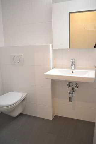 Appartement 6 pièces à louer à Petit-Lancy - image 1/11
