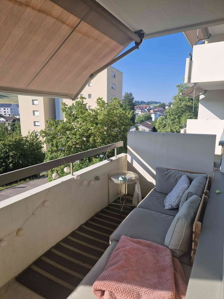 3.5 Zimmer Wohnung zu vermieten in Rudolfstetten - Bild 1/7