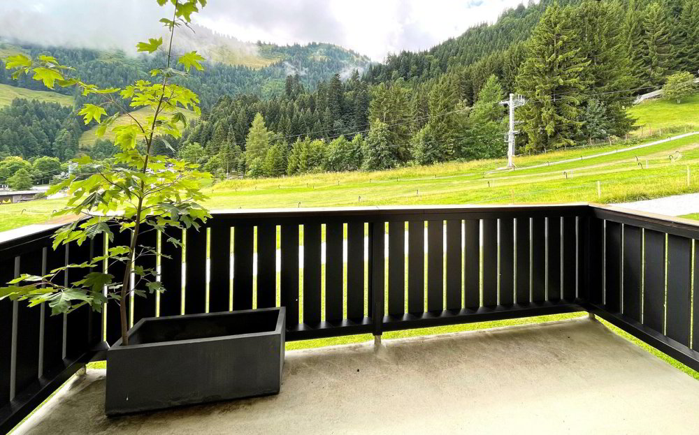 Appartement 2.5 pièces à acheter à Moléson-sur-Gruyères - image 1/7