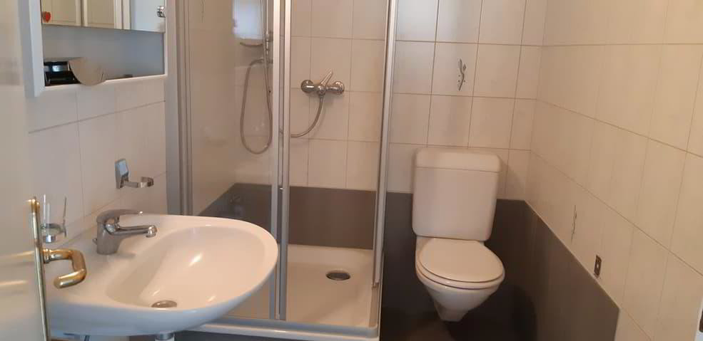 1 rooms Apartment for rent in Grolley - image 1/7