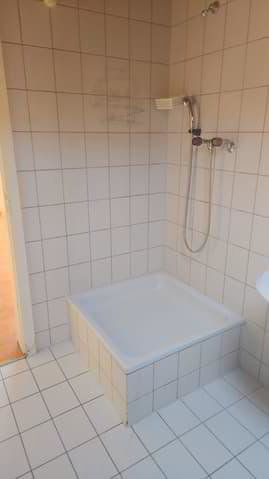 Appartement 2.5 pièces à louer à Péry - image 1/11