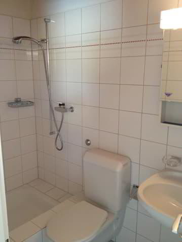1 Zimmer Wohnung zu vermieten in Aegerten - Bild 1/4