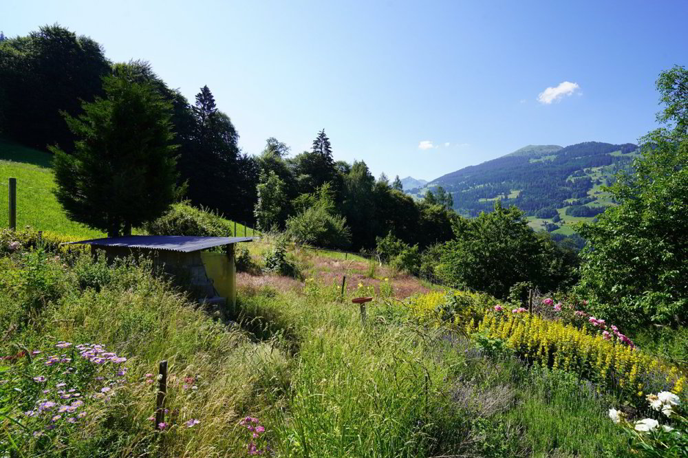 Maison null pièces à acheter à Buchen im Prättigau - image 1/8