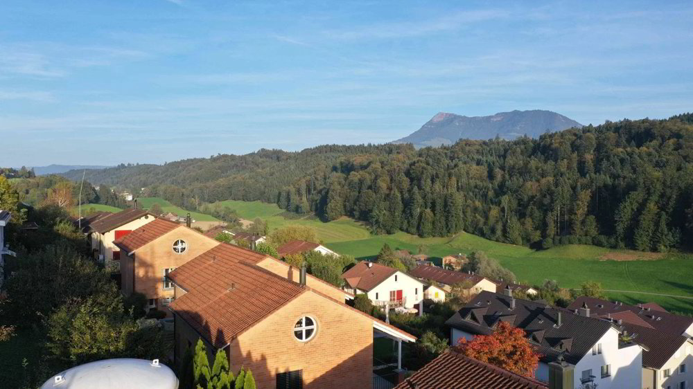 2.5 Zimmer Wohnung zu vermieten in Adligenswil - Bild 1/8