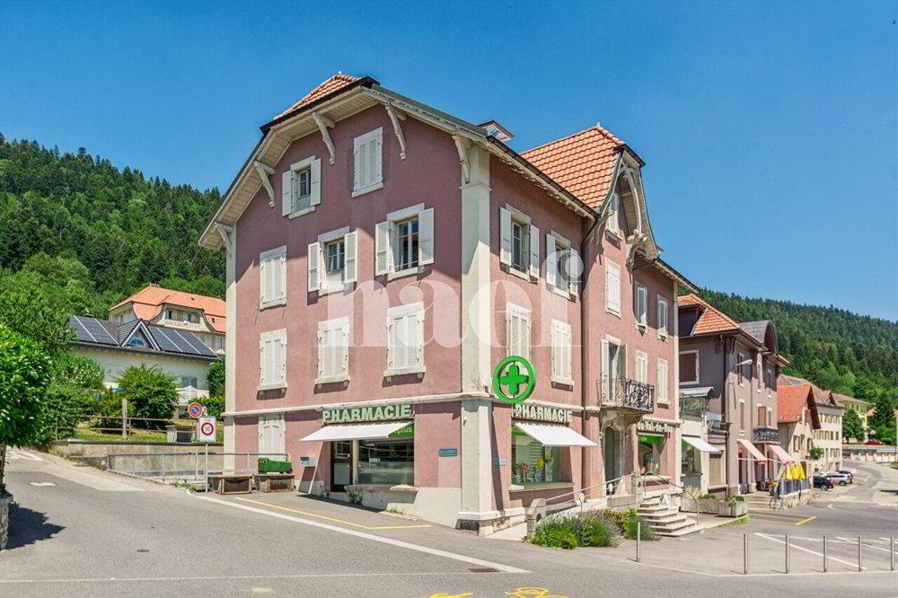 null rooms Office & Commercial to buy in La Vue-des-Alpes - image 1/11