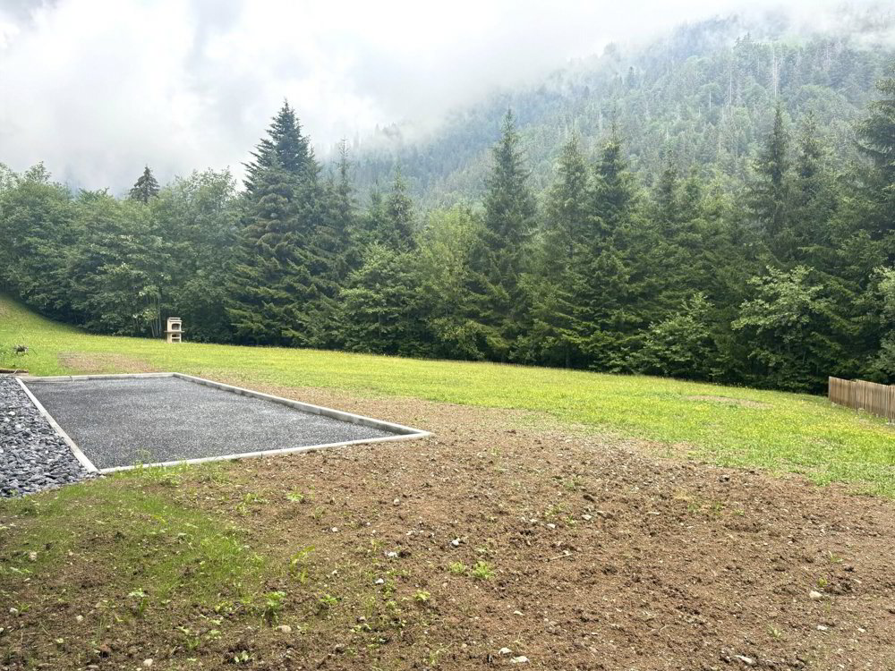 1.5 rooms Apartment to buy in Torgon - image 1/11