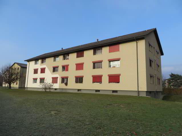 1 Zimmer Wohnung zu vermieten in Marin-Epagnier - Bild 1/1