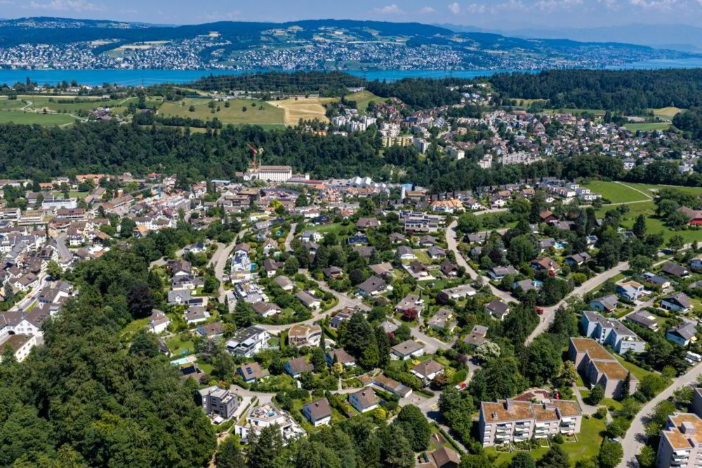 Ufficio & Commercio di null locali in vendita a Langnau am Albis - immagine 1/9