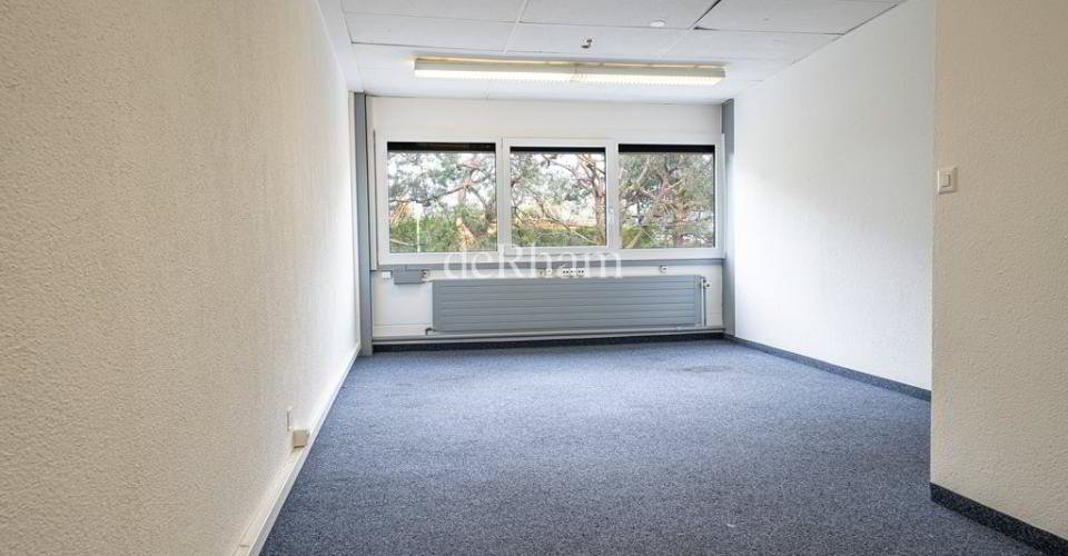 null rooms Office & Commercial for rent in Ecublens VD - image 1/8