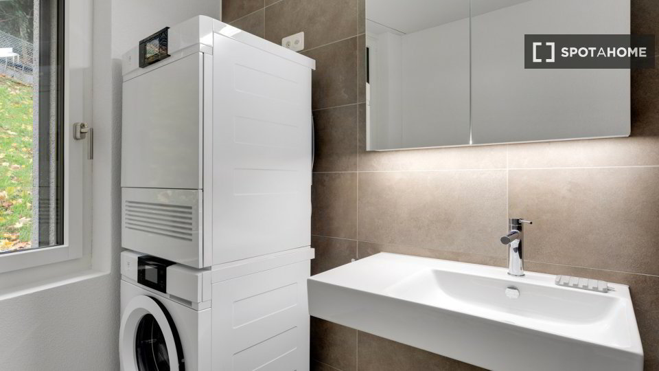 2 rooms Apartment for rent in Zürich - image 1/13