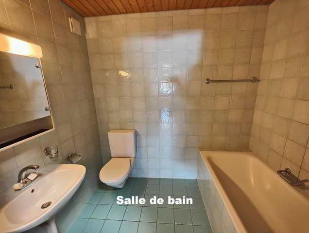 Appartement 3.5 pièces à acheter à Broc - image 1/6