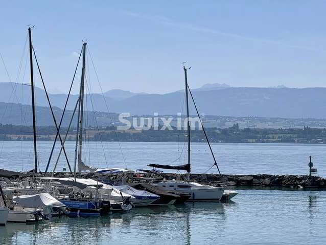 11 rooms House to buy in Coppet - image 1/1