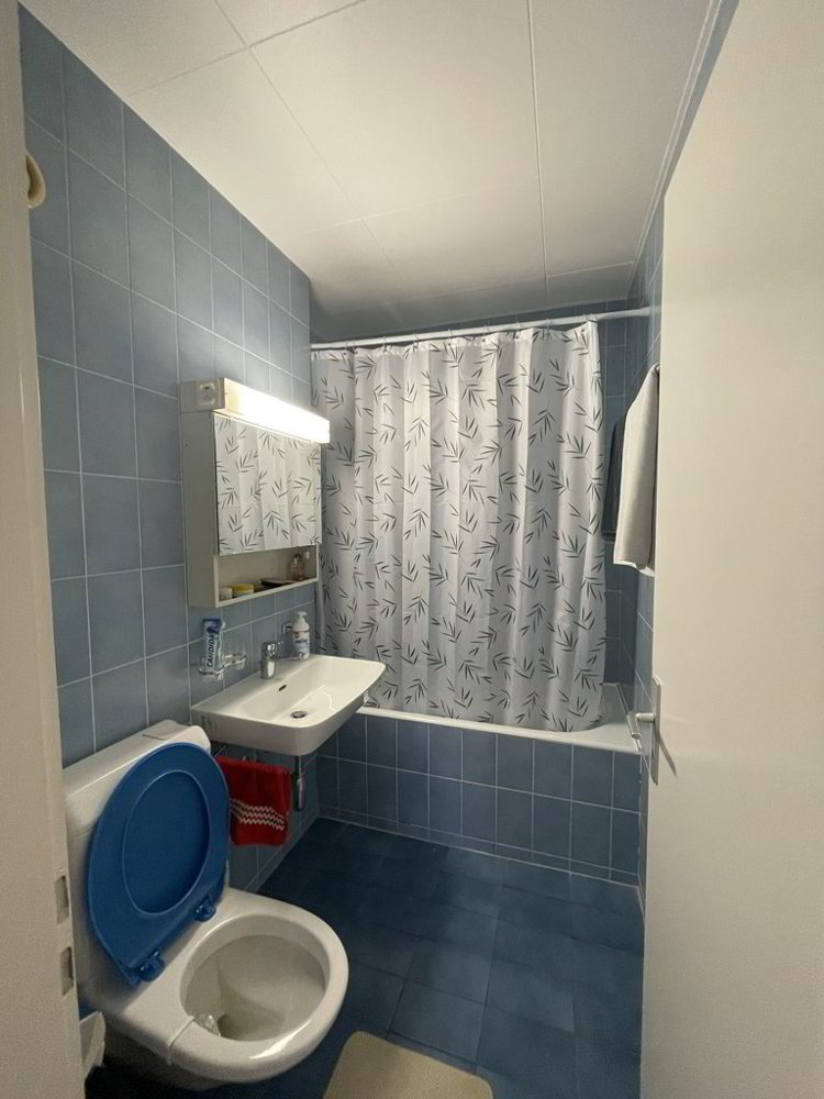 Appartamento di 3 locali in affitto a Losanna - immagine 1/8