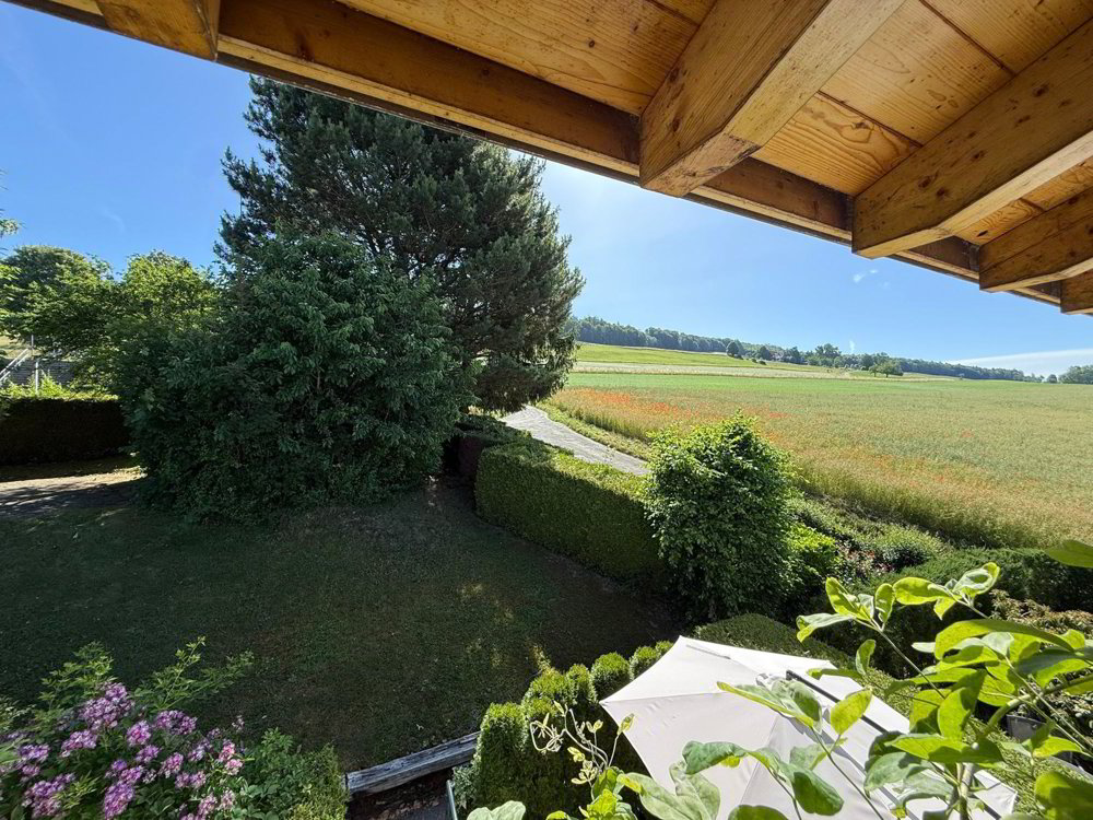 Maison 5 pièces à acheter à Bellikon - image 1/13