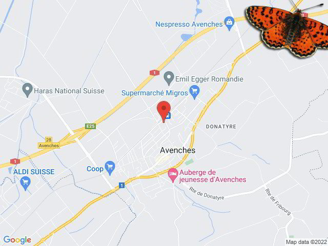 2 rooms Apartment for rent in Avenches - image 1/9