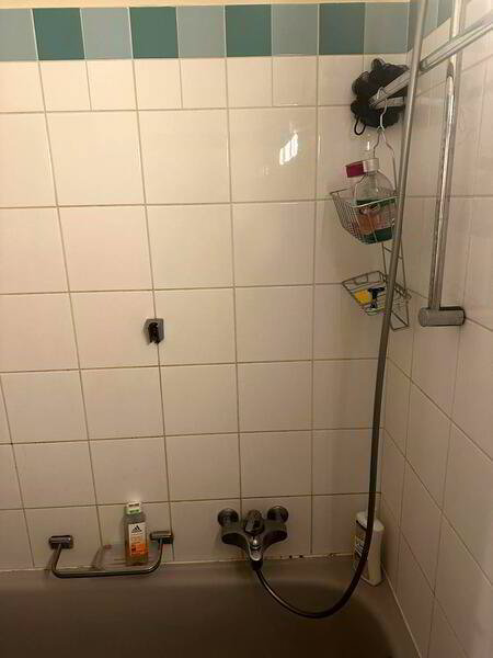 Appartement 2 pièces à louer à Genève - image 1/9