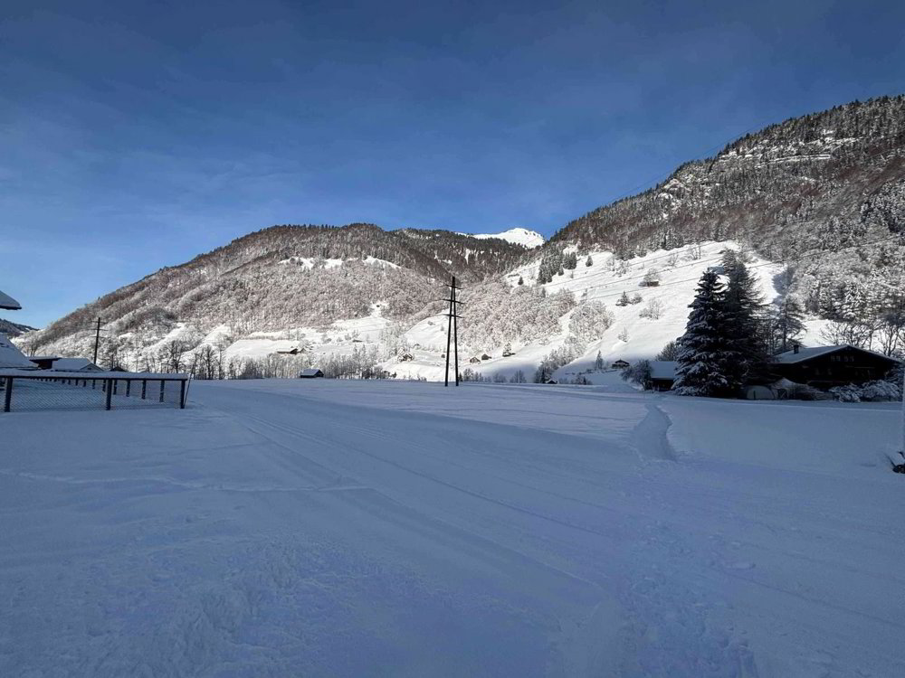 Maison null pièces à acheter à Alt St. Johann - image 1/5