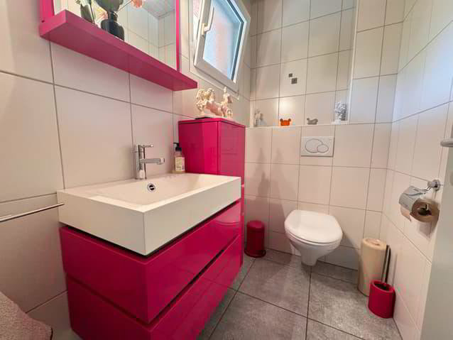 2 rooms Apartment for rent in Châtel-St-Denis - image 1/8