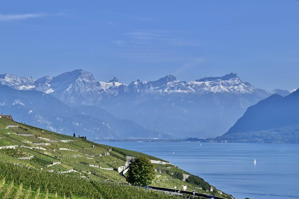 Wohnung – Grandvaux - Ansicht 4