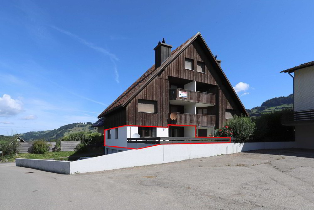 Appartement 2.5 pièces à acheter à Nesslau - image 1/7