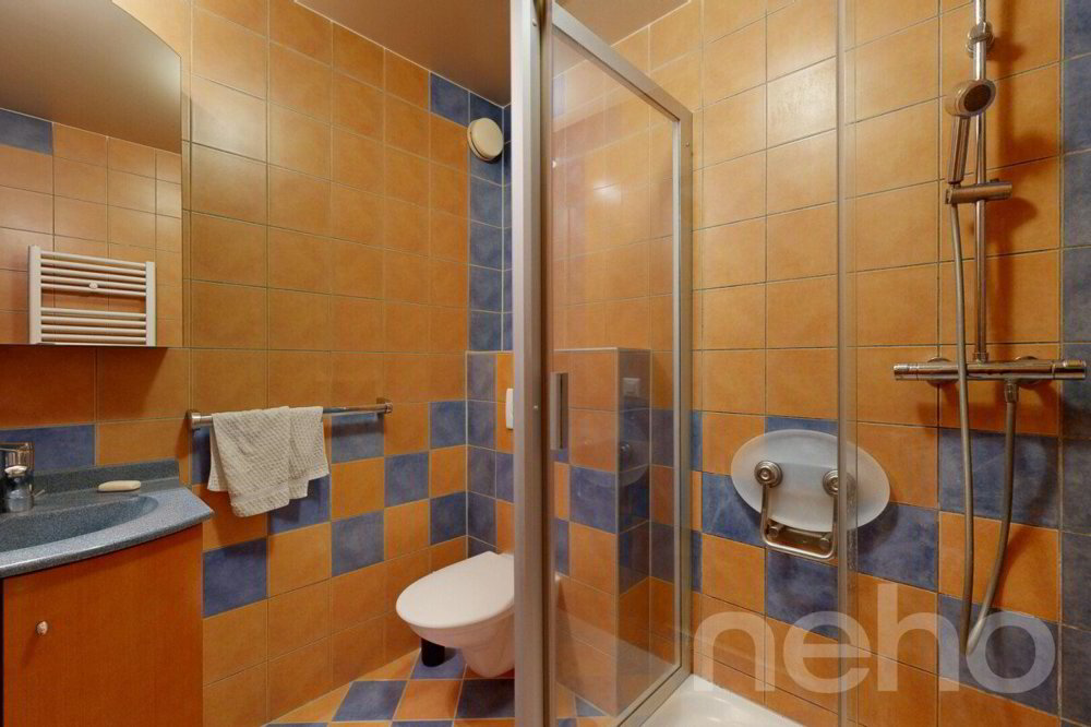 Appartement 4.5 pièces à acheter à St-Cergue - image 1/12