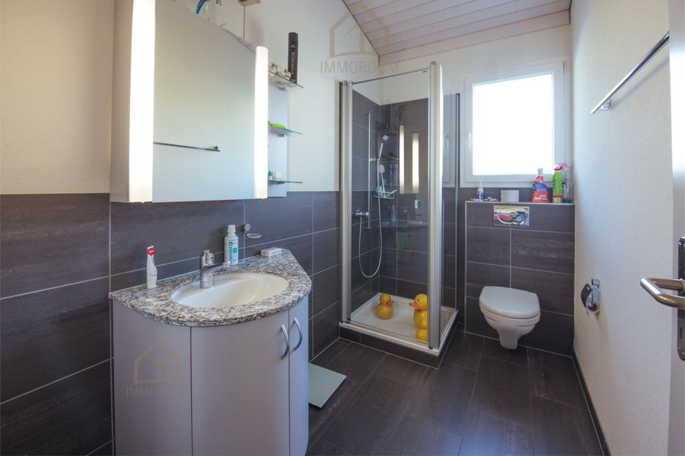 Maison 5 pièces à acheter à Uzwil - image 1/13
