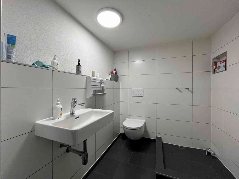 2 rooms Office & Commercial for rent in Wichtrach - image 1/8