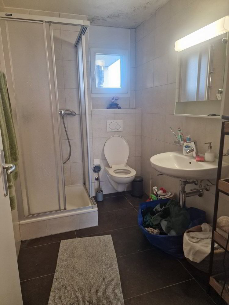 1 rooms Apartment for rent in Chavannes-près-Renens - image 1/5