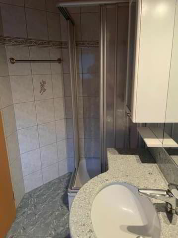 1.5 rooms Apartment for rent in Gamsen - image 1/5