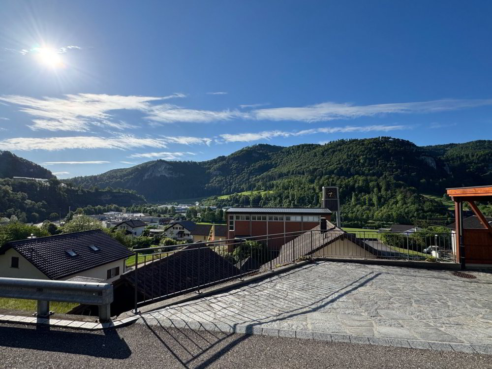 Maison 5.5 pièces à acheter à Liesberg - image 1/17