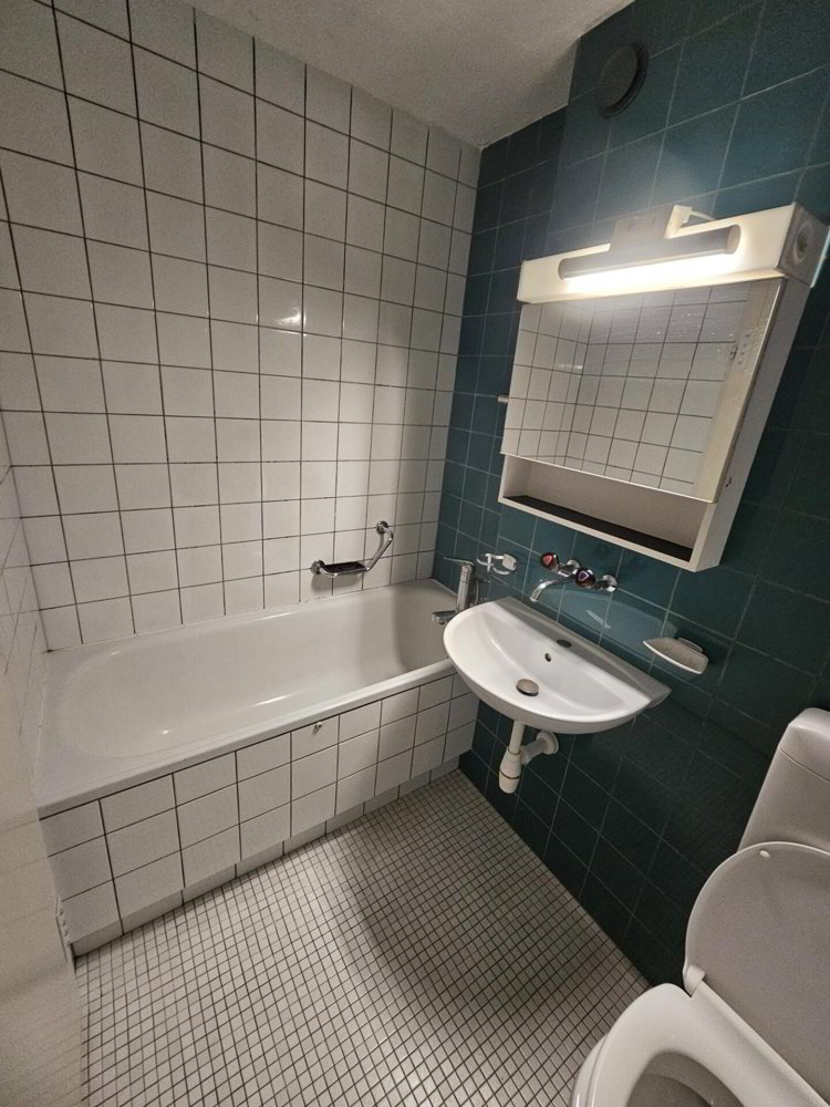 5 rooms Apartment for rent in Affoltern am Albis - image 1/10