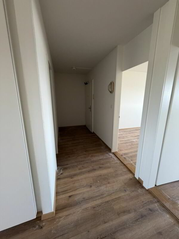 3 Zimmer Wohnung zu vermieten in Kappel SO - Bild 1/7