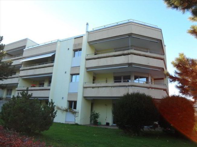 3 Zimmer Wohnung zu vermieten in Spiez - Bild 1/1